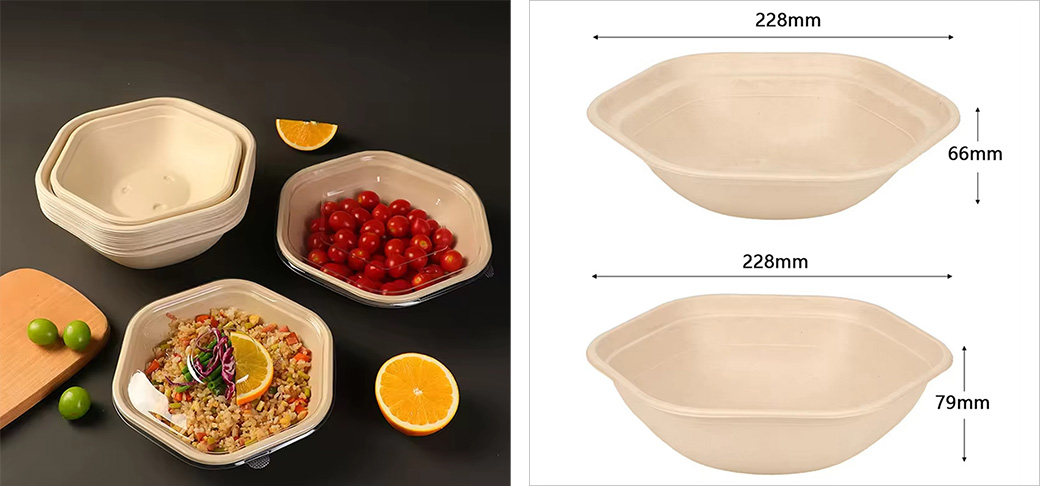 Sugarcane Bagasse Bowls Supplier