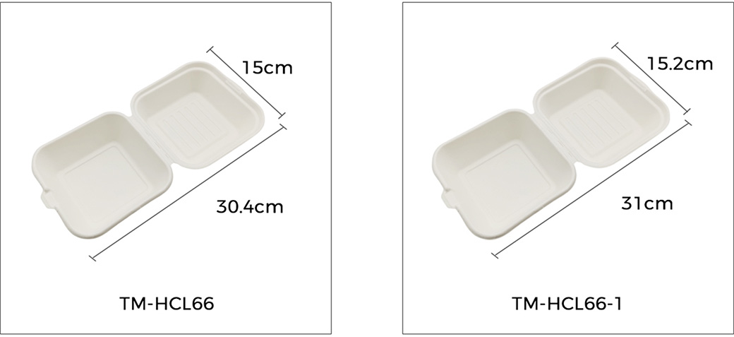 Sugarcane Bagasse Bowls Manufacturer