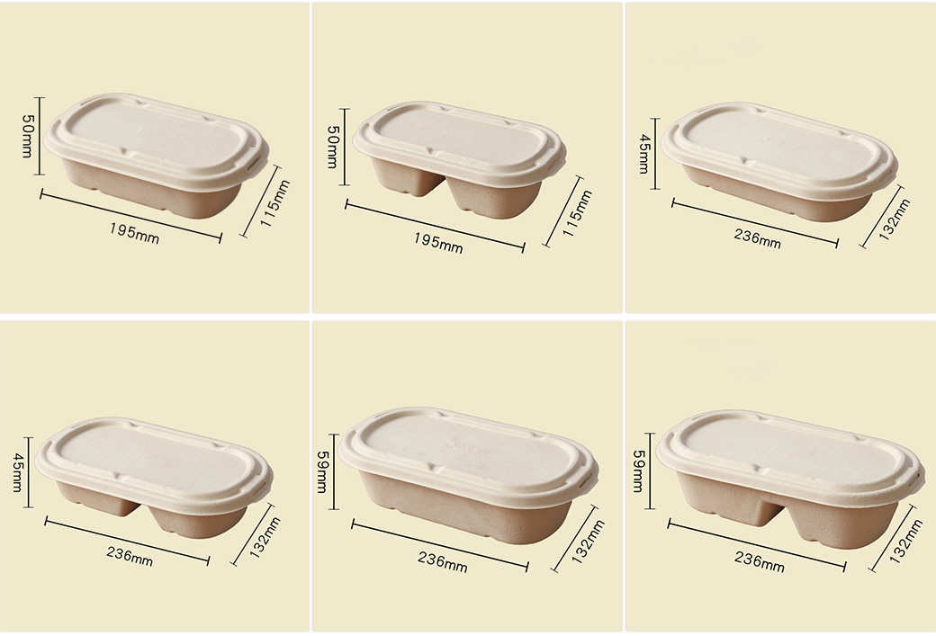 Sugarcane Bagasse Container Manufacturer