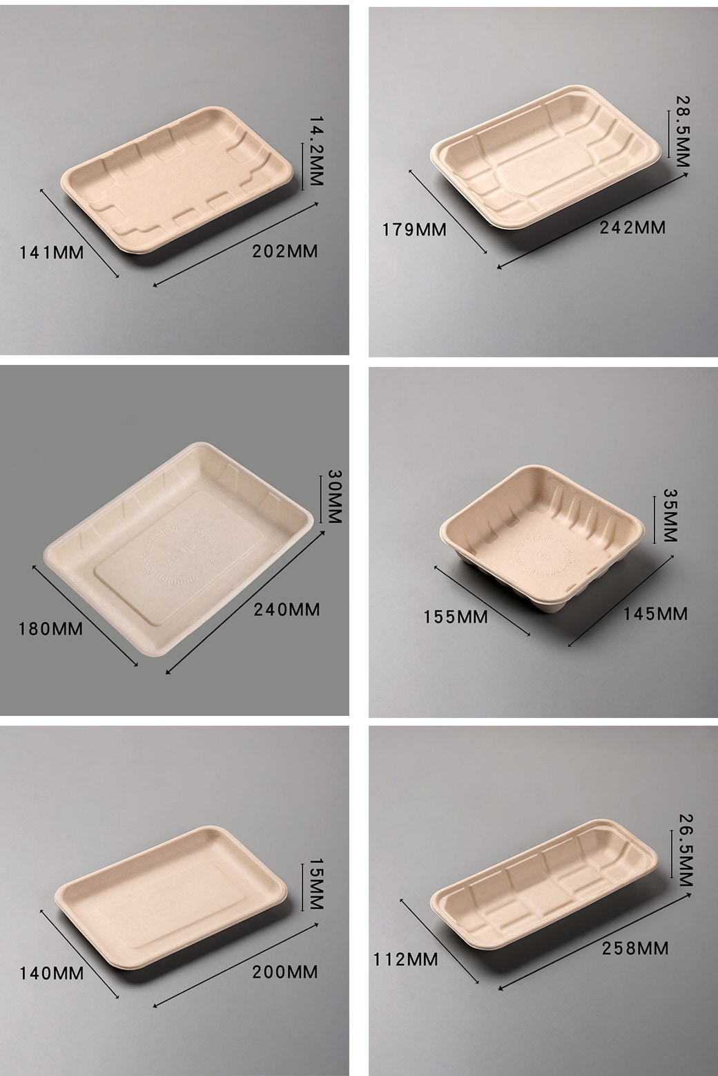 Sugarcane Bagasse Trays Supplier