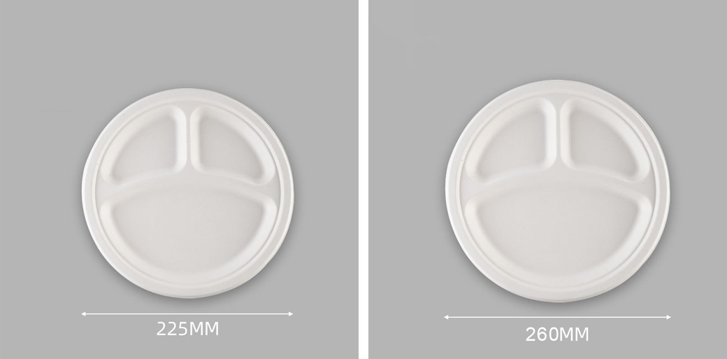 Sugarcane Bagasse 3 Compartment Plate