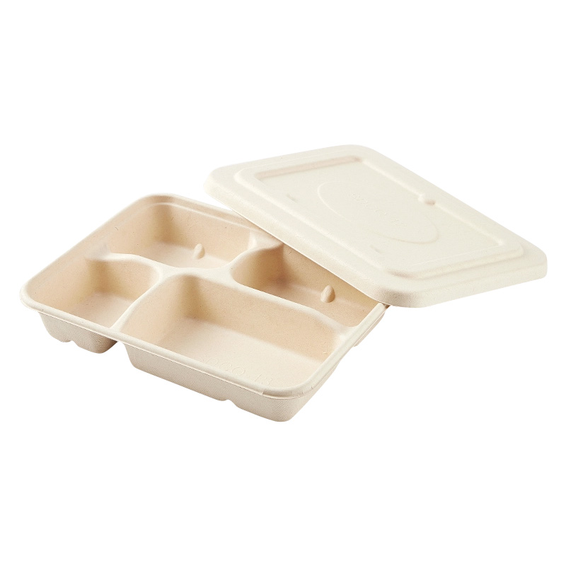 Rectangle Sugarcane Food Tray