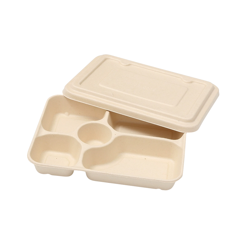 5 Compartment Bagasse Lunch Tray