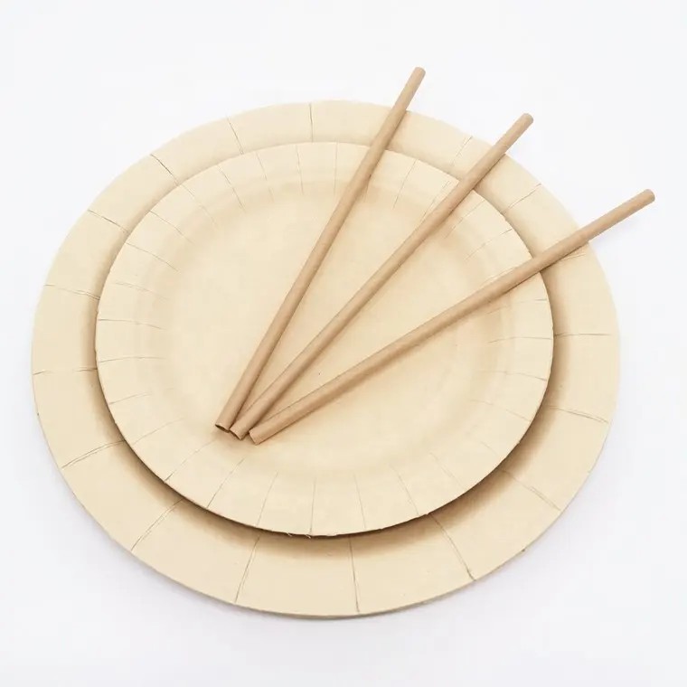 Compostable Paper Plate Set