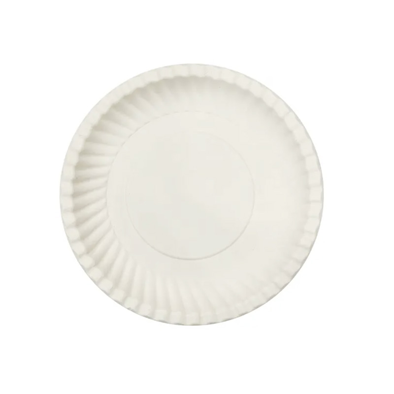 Sugarcane Party Dinner Plate