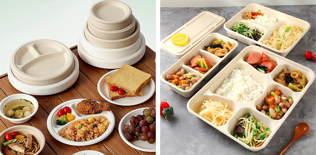 Sugarcane Bagasse Tableware